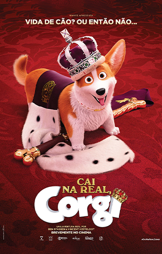 Cai na Real, Corgi (VP)